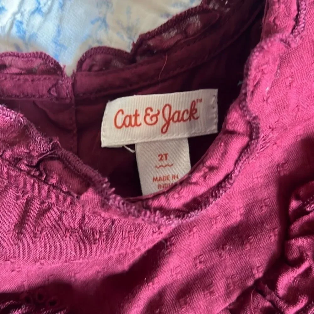 Bundle of 2 2t girl dresses - EGG NYC/ cat&jack